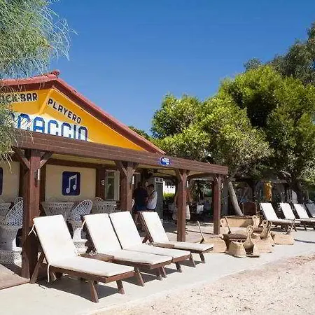 Alua Boccaccio 4* Port de Alcudia (Mallorca)